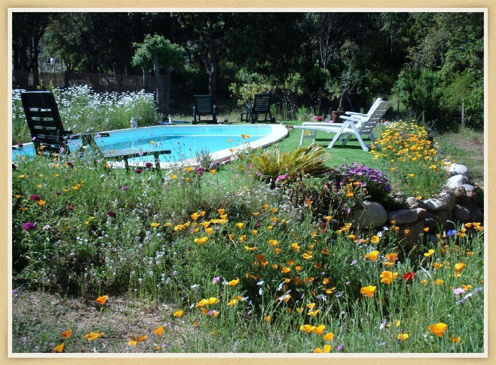 U Cantu Grillu Portigliolo Exteriér fotografie